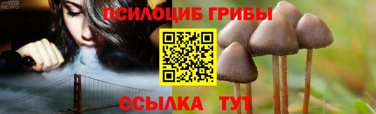 Псилоцибиновые грибы ЛСД Краснотурьинск